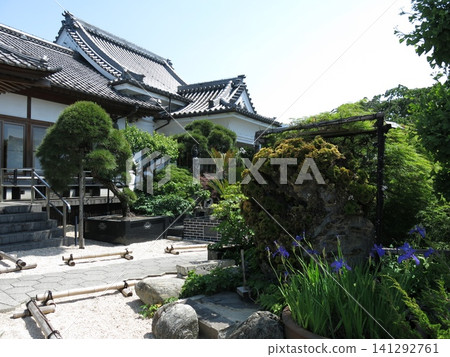 Irises in bloom at Shorinji Temple, the 15th temple on the Chichibu Pilgrimage (main hall and courtyard). Irises in bloom at Shorinji Temple, the 15th temple on the Chichibu Pilgrimage (main hall and courtyard). 141292761