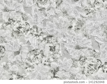 intricate silver jacquard fabric texture features delicate distressed floral embroidery overlay creating ethereal mood 141292848