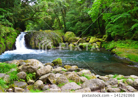 Summer, Kikuchi Valley, Reimei Falls Summer, Kikuchi Valley, Reimei Falls 141292868