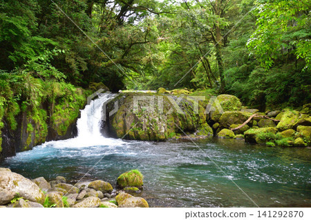Summer, Kikuchi Valley, Reimei Falls Summer, Kikuchi Valley, Reimei Falls 141292870