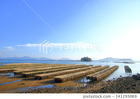 產自廣島縣秋津市的美味牡蠣,生長於瀨戶內海平靜的水域。 產自廣島縣秋津市的美味牡蠣,生長於瀨戶內海平靜的水域。 141293069