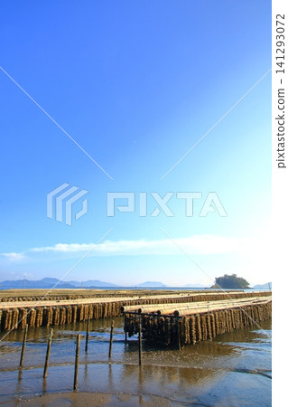 Oyster farming is thriving in the Seto Inland Sea Oyster farming is thriving in the Seto Inland Sea 141293072