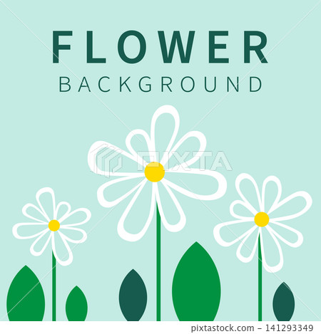 Floral banner with white daisy flowers on a soft mint pastel background. Ideal for spring, summer, greeting cards, posters, invitations, packaging, social media posts, textile. Vector illustration Floral banner with white daisy flowers on a soft mint pastel background. Ideal for spring, summer, greeting cards, posters, invitations, packaging, social media posts, textile. Vector illustration 141293349