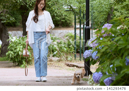 一位年輕女子牽著她的小狗在公園散步,公園裡繡球花正盛開。 一位年輕女子牽著她的小狗在公園散步,公園裡繡球花正盛開。 141293476