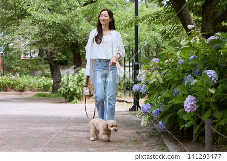 一位年輕女子牽著她的小狗在公園散步,公園裡繡球花正盛開。 一位年輕女子牽著她的小狗在公園散步,公園裡繡球花正盛開。 141293477