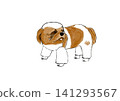 My beloved dog 141293567