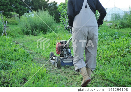 A woman mowing grass in a field. A woman mowing grass in a field. 141294198