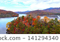 A panoramic view of the vibrantly colored autumn foliage forest spreading along the shores of Lake Akimoto. A panoramic view of the vibrantly colored autumn foliage forest spreading along the shores of Lake Akimoto. 141294340