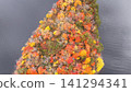 Drone footage captures a small island covered in autumn foliage jutting out of the water. Drone footage captures a small island covered in autumn foliage jutting out of the water. 141294341