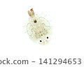 Butterflies (fish lice) 141294653
