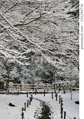 A park bridge covered in snow A park bridge covered in snow 141294716