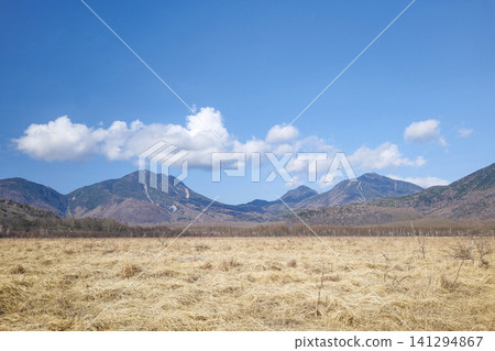 Clear skies and wetlands Clear skies and wetlands 141294867