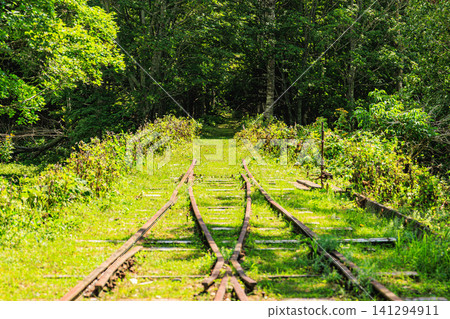 A historic abandoned railway line stretches endlessly straight across a grassy field like a green carpet. A historic abandoned railway line stretches endlessly straight across a grassy field like a green carpet. 141294911