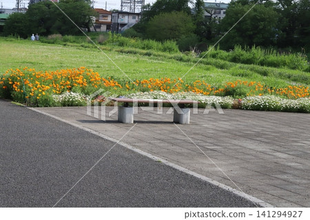 春天,居民區公園裡盛開著橘色的加州罌粟花和白色的北極菊花。 春天,居民區公園裡盛開著橘色的加州罌粟花和白色的北極菊花。 141294927