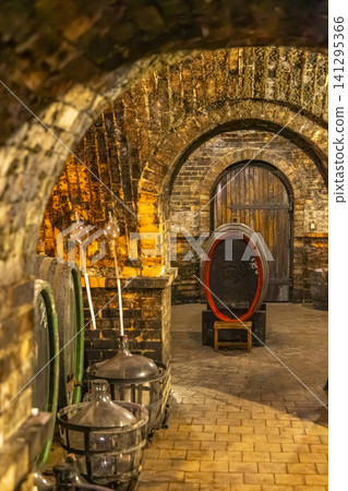 Traditional wine cellar storing barrels and fermentation carboys Traditional wine cellar storing barrels and fermentation carboys 141295366