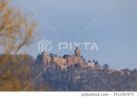 Haut Koenigsbourg Castle standing on snowy Vosges mountains 141295473