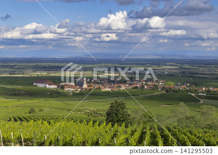 Saint Hippolyte village with vineyards under cloudy sky in Grand Est, France Saint Hippolyte village with vineyards under cloudy sky in Grand Est, France 141295503
