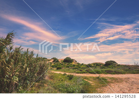Rural landscape with dirt road, grass and trees on a sunny day Rural landscape with dirt road, grass and trees on a sunny day 141295528