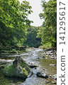 Landscape with river 141295617