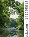 Small river in the forest 141295618
