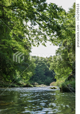 Small river in the forest Small river in the forest 141295618