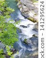 Fresh green and clean flow 141295624