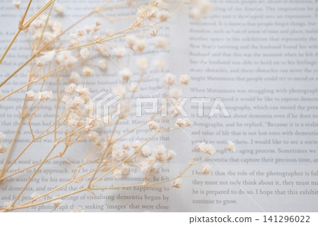 Baby's breath and English newspaper background material Baby's breath and English newspaper background material 141296022