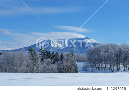 北海道富良野,霜凍覆蓋的樹木、富良野山和白雪皚皚的平原:令人驚嘆的冬季景觀和旅遊材料。 北海道富良野,霜凍覆蓋的樹木、富良野山和白雪皚皚的平原:令人驚嘆的冬季景觀和旅遊材料。 141297056