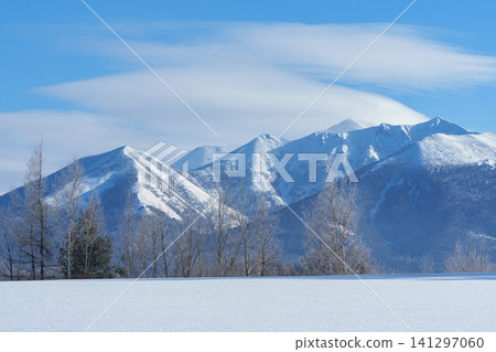 北海道富良野,霜凍覆蓋的樹木、富良野山和白雪皚皚的平原:令人驚嘆的冬季景觀和旅遊材料。 北海道富良野,霜凍覆蓋的樹木、富良野山和白雪皚皚的平原:令人驚嘆的冬季景觀和旅遊材料。 141297060