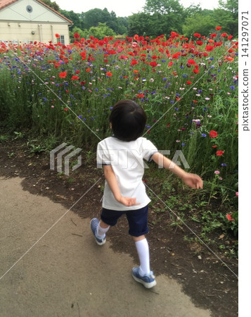 A boy walking in the park A boy walking in the park 141297071