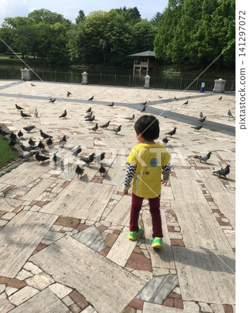 Children playing with pigeons in the park Children playing with pigeons in the park 141297072