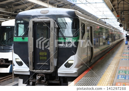 The Limited Express "Kusatsu/Shima" E257 series train stopped at the platform of Tokyo Station. The Limited Express "Kusatsu/Shima" E257 series train stopped at the platform of Tokyo Station. 141297288