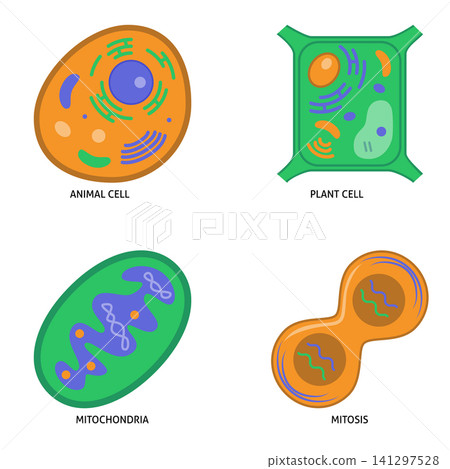 Molecular and cellular biology flat icon set Molecular and cellular biology flat icon set 141297528
