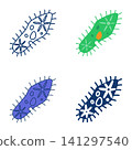 Paramecium anatomy icon set 141297540