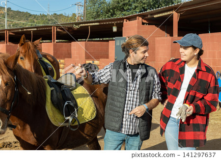 Two positive male female grooms talking and checking saddle on brown horse for riding in yard of stables Two positive male female grooms talking and checking saddle on brown horse for riding in yard of stables 141297637