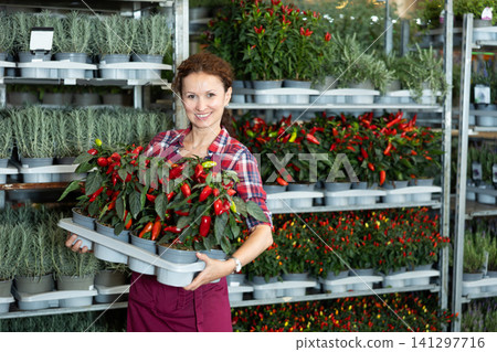 Middle-aged saleswoman holding garden-pots with decorative pepper 141297716
