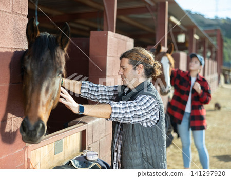 Man combing and brushing a horse at the stable on sunny day 141297920