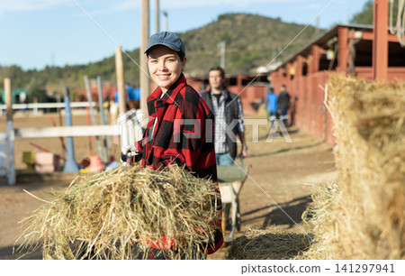 Female horse stable worker preparing hay and straw for purebred horses in countryside club on sunny day in spring Female horse stable worker preparing hay and straw for purebred horses in countryside club on sunny day in spring 141297941