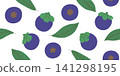 Seamless pattern whole mangosteen and green leaves. Repeating pattern of purple mangosteen. Seamless background with exotic fruit mangosteen 141298195