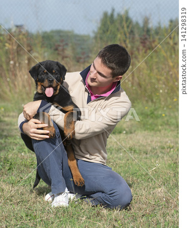 puppy rottweiler with owner puppy rottweiler with owner 141298319