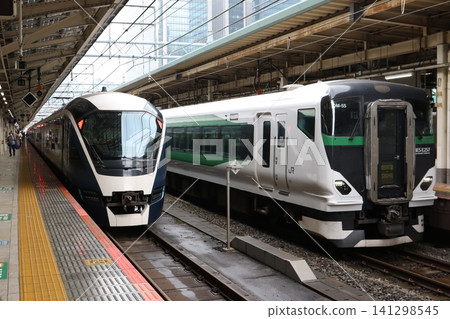 The limited express trains "Saphir Odoriko" and "Kusatsu/Shima" are parked side-by-side on the platform at Tokyo Station. The limited express trains "Saphir Odoriko" and "Kusatsu/Shima" are parked side-by-side on the platform at Tokyo Station. 141298545