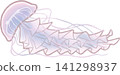 天草水母 141298937
