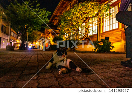 Night view of Takegawara Onsen in Beppu, Oita Prefecture, Japan, and stray cats Night view of Takegawara Onsen in Beppu, Oita Prefecture, Japan, and stray cats 141298957
