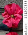 Handmade Red Flower Petals 141299333