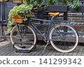 Sigle Speed Classic Bicycle 141299342