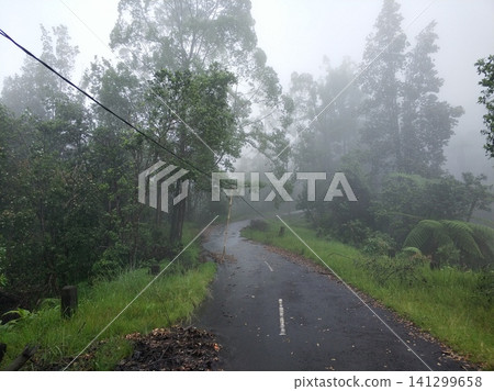 A road in the mountains in the fog after a storm. Around and on the way are broken trees and branches after a volcanic eruption. 141299658