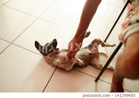 A man is playing with a stray puppy, and the dog bites his hand. 141299685