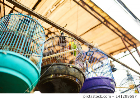An old bird cage and bird are sold at an Asian market. 141299687