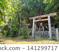 A landscape of a mountain slope lined with shrines with torii gates and stone monuments. 141299717