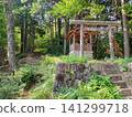 A shrine with a torii gate and a mountain path. 141299718